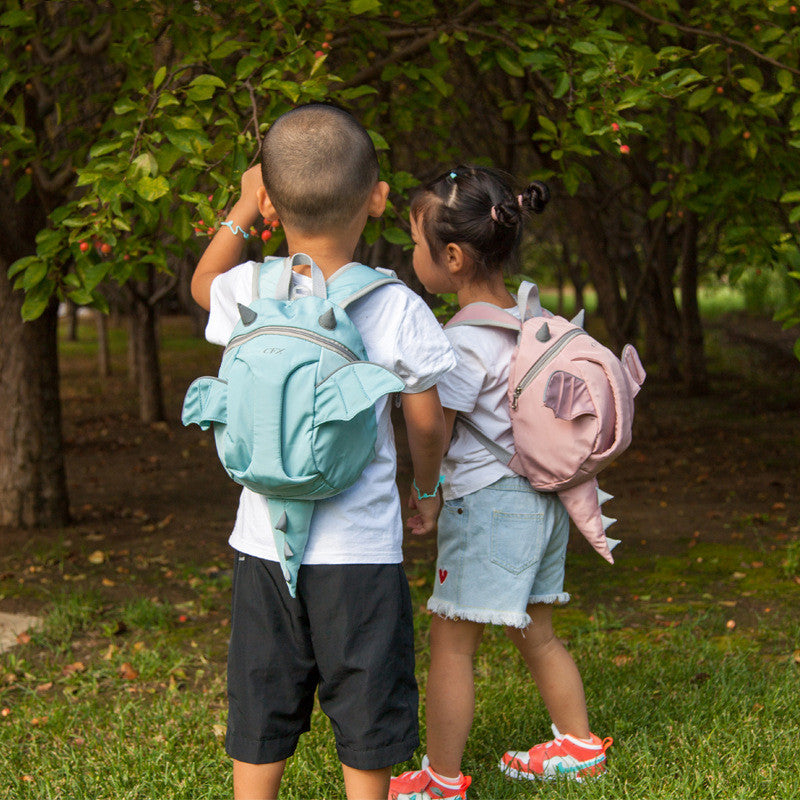 school  Bag