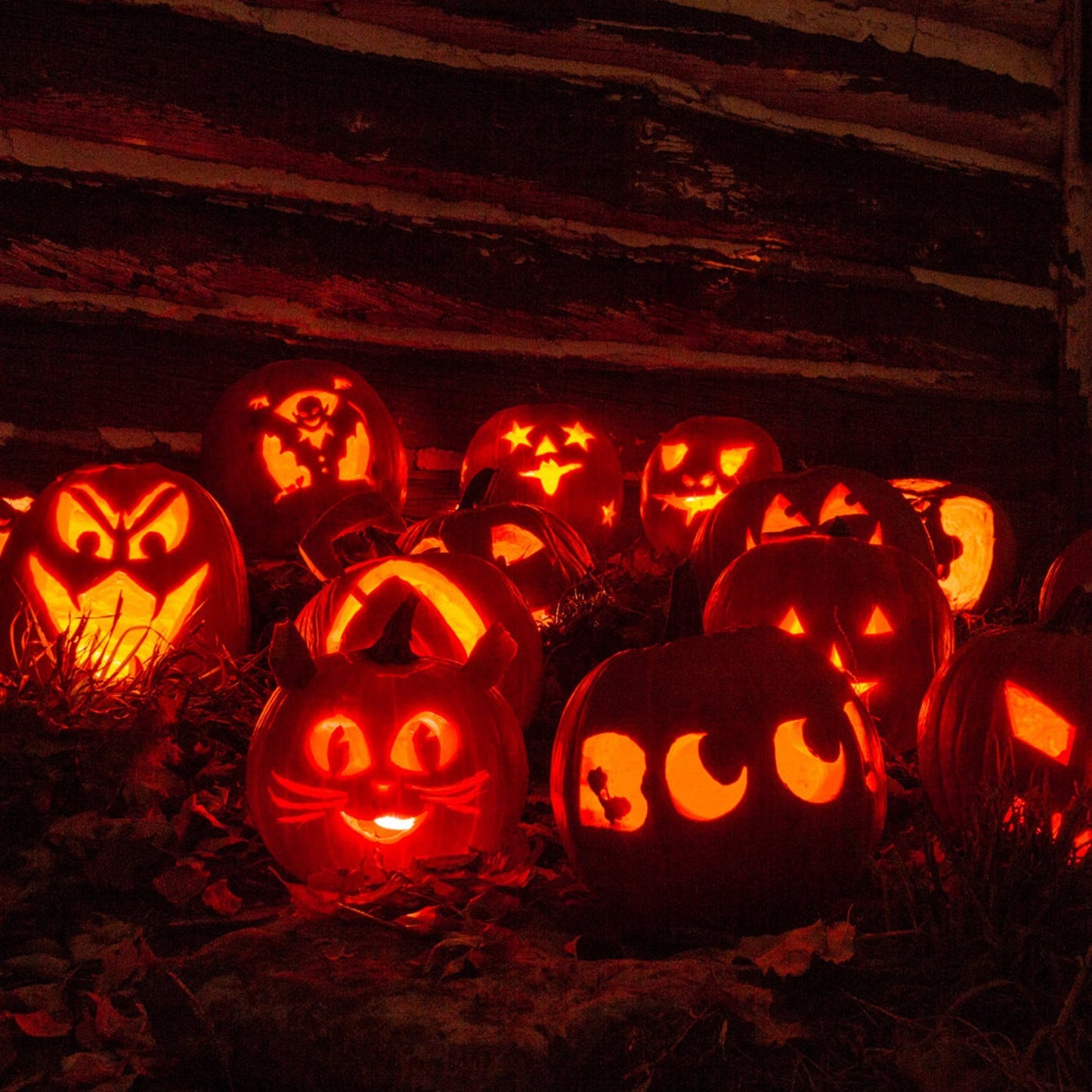 Halloween Pumpkin Carving Kit